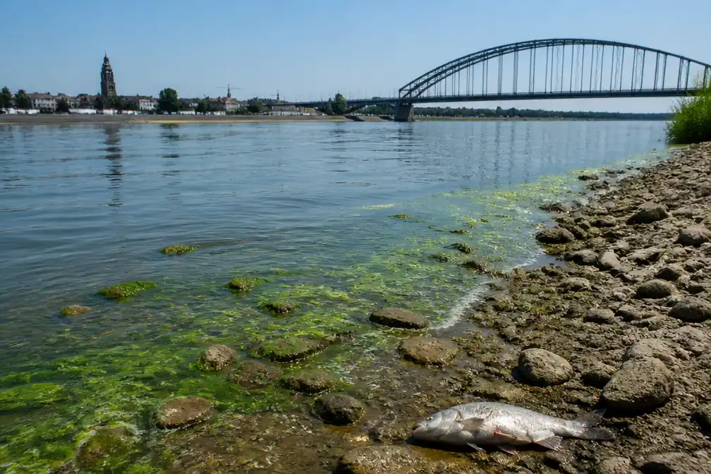 Hitte, weinig regen en lage rivierafvoer dreigen watertekort in Nederland