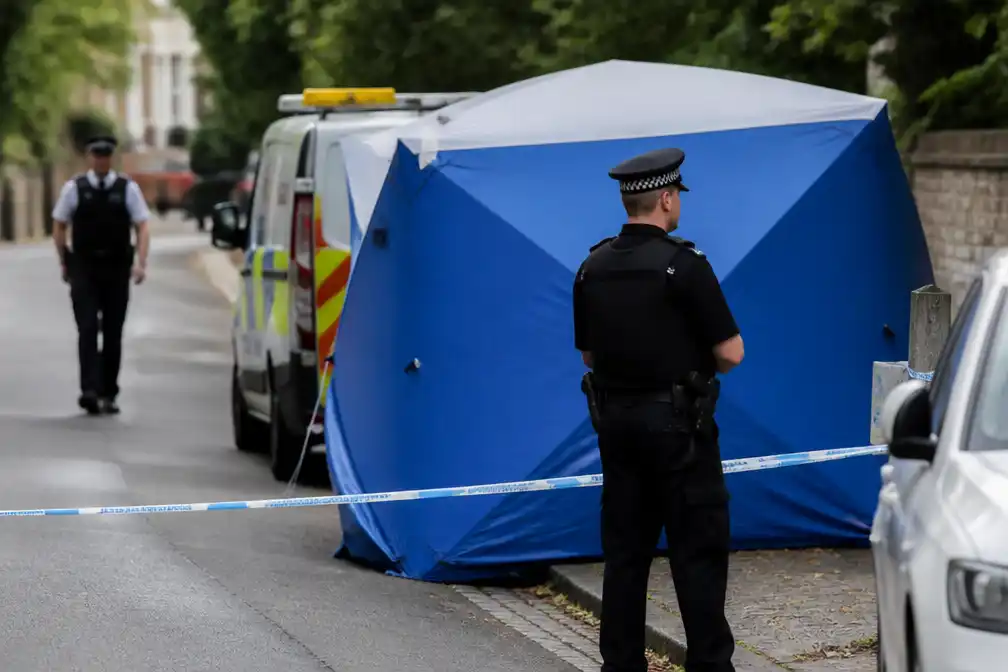 Politie: Moord op oud-politica Ann Widdecombe was gerichte aanval