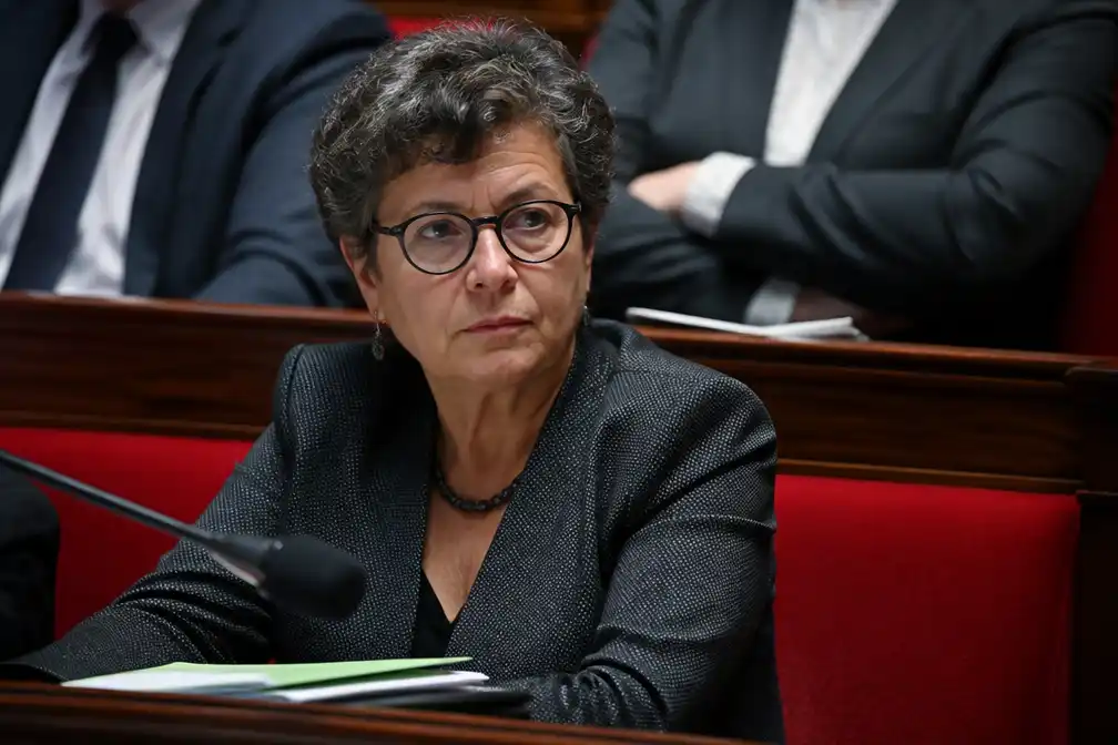 Franse milieuminister stapt op na goedkeuring bijenpesticiden door parlement