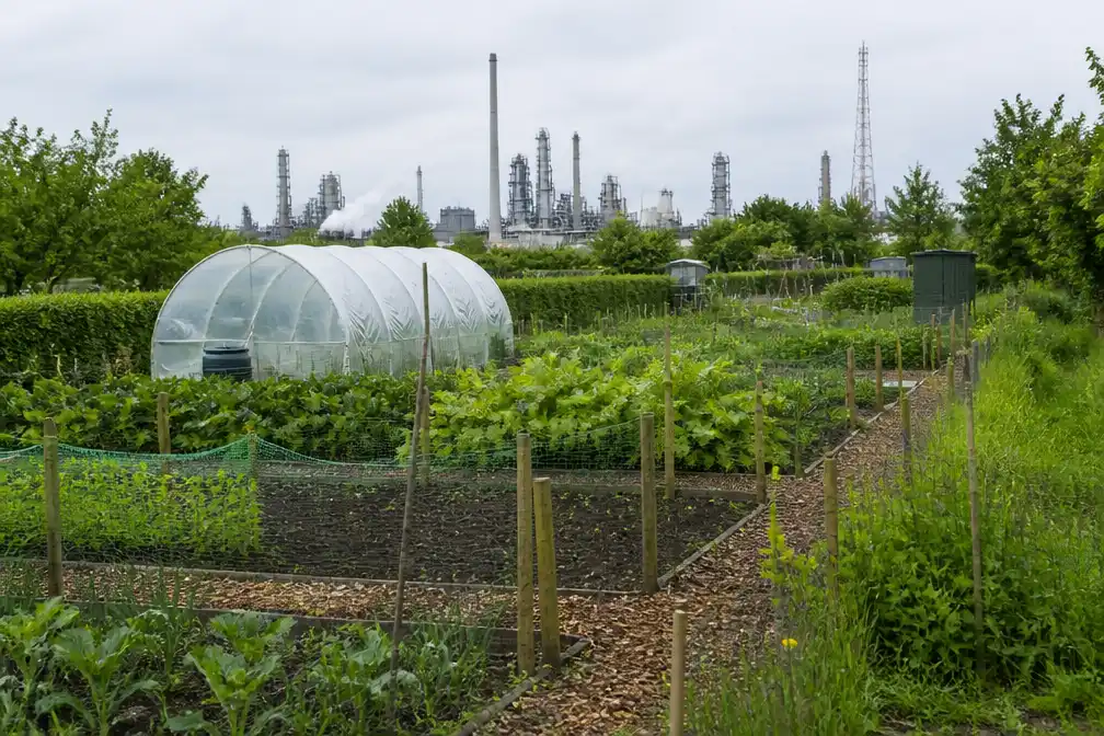 Honderden vervuilde moestuinen rond Chemours krijgen schone aarde